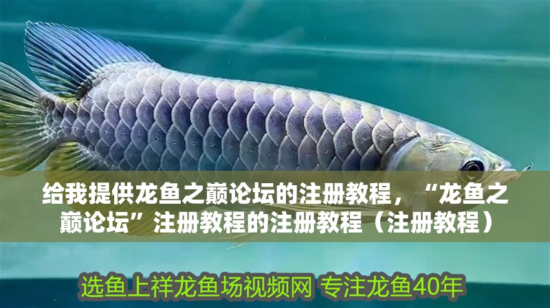 給我提供龍魚之巔論壇的注冊(cè)教程，“龍魚之巔論壇”注冊(cè)教程的注冊(cè)教程（注冊(cè)教程）