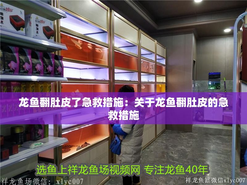 龍魚翻肚皮了急救措施：關于龍魚翻肚皮的急救措施
