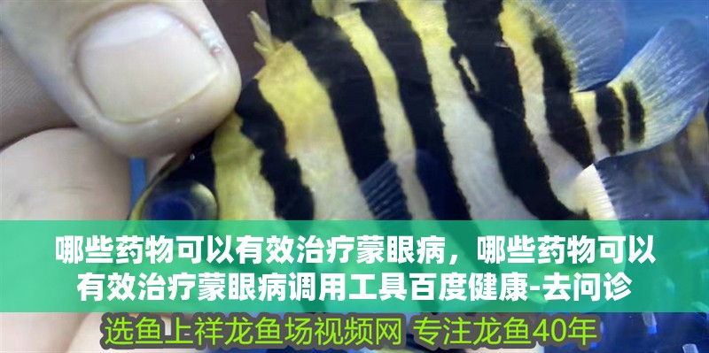 哪些藥物可以有效治療蒙眼病，哪些藥物可以有效治療蒙眼病調(diào)用工具百度健康-去問(wèn)診