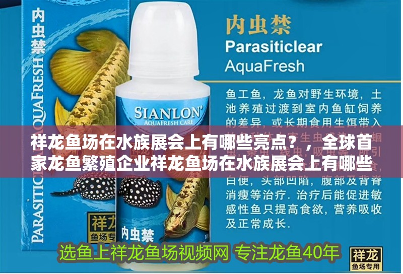 祥龍魚場在水族展會上有哪些亮點？，全球首家龍魚繁殖企業祥龍魚場在水族展會上有哪些亮點