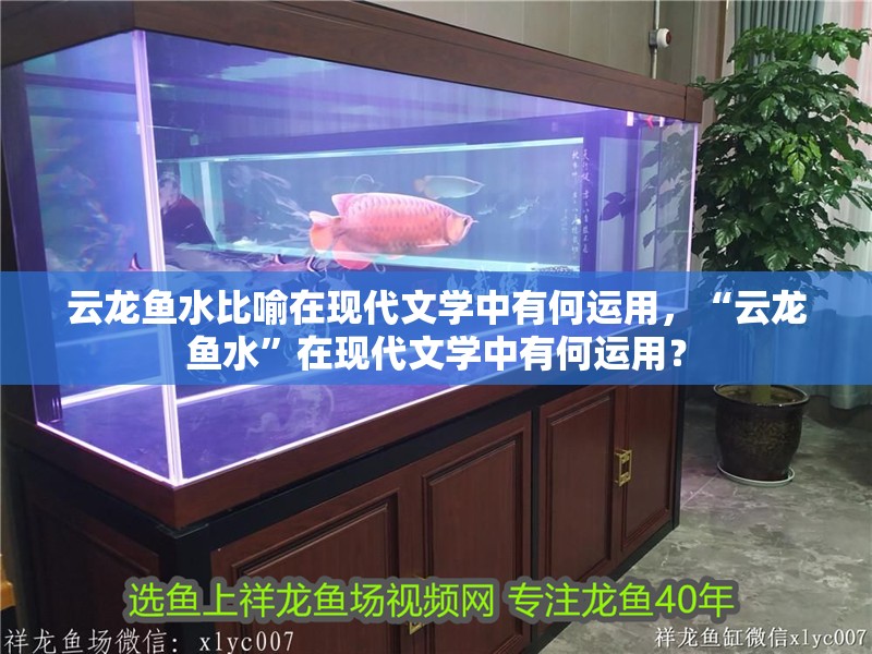云龍魚水比喻在現代文學中有何運用，“云龍魚水”在現代文學中有何運用？