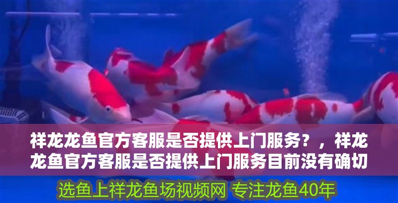 祥龍龍魚官方客服是否提供上門服務？，祥龍龍魚官方客服是否提供上門服務目前沒有確切的答案