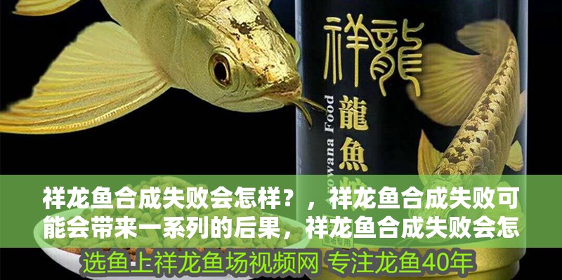 祥龍魚合成失敗會怎樣？，祥龍魚合成失敗可能會帶來一系列的后果，祥龍魚合成失敗會怎樣