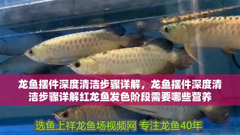 龍魚擺件深度清潔步驟詳解，龍魚擺件深度清潔步驟詳解紅龍魚發(fā)色階段需要哪些營養(yǎng)