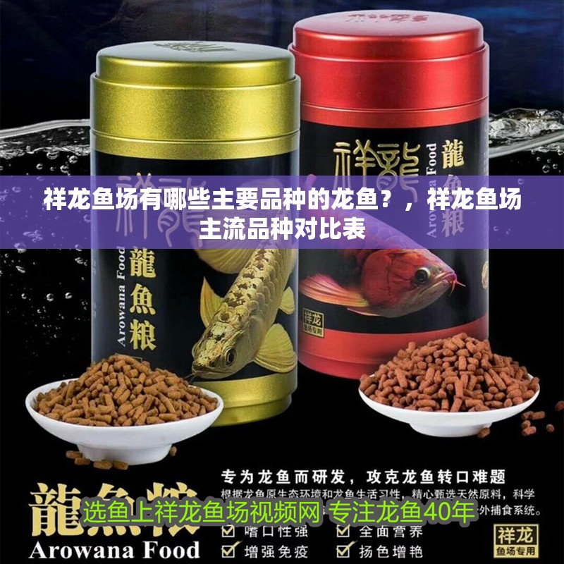 祥龍魚場有哪些主要品種的龍魚？，祥龍魚場主流品種對比表