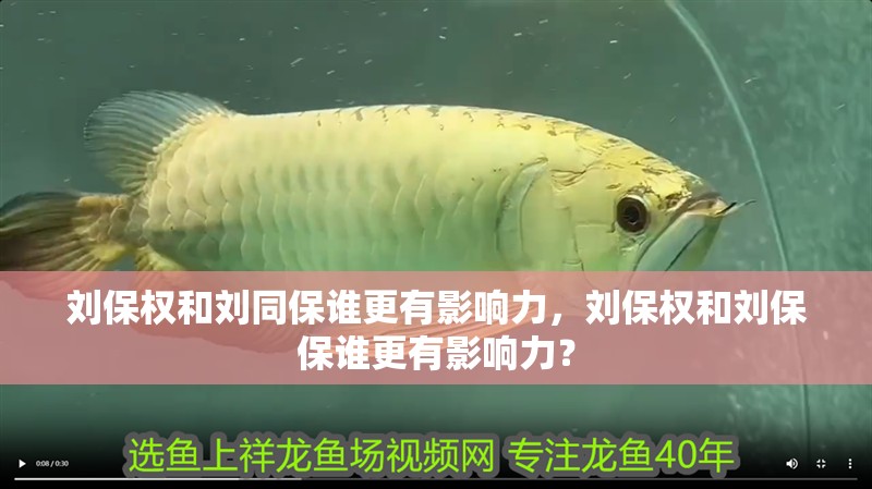 劉保權和劉同保誰更有影響力，劉保權和劉保保誰更有影響力？