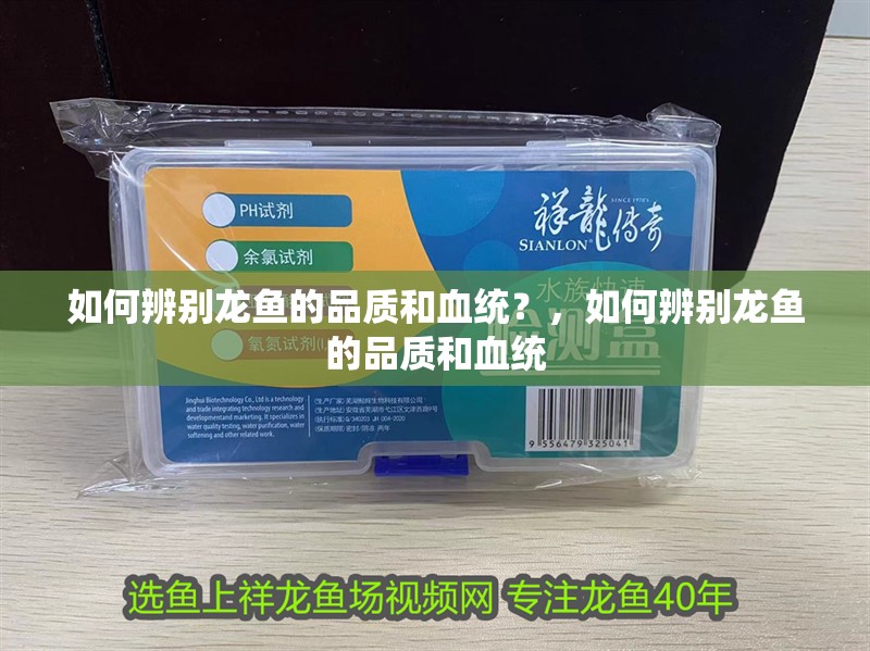 如何辨別龍魚的品質和血統？，如何辨別龍魚的品質和血統