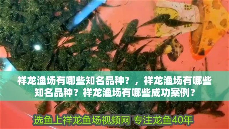 祥龍漁場有哪些知名品種？，祥龍漁場有哪些知名品種？祥龍漁場有哪些成功案例？