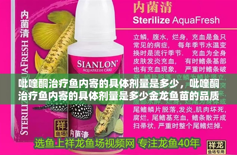 吡喹酮治療魚內寄的具體劑量是多少，吡喹酮治療魚內寄的具體劑量是多少金龍魚苗的品質