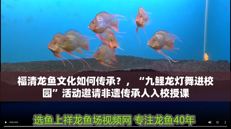 福清龍魚文化如何傳承？，“九鯉龍燈舞進校園”活動邀請非遺傳承人入校授課