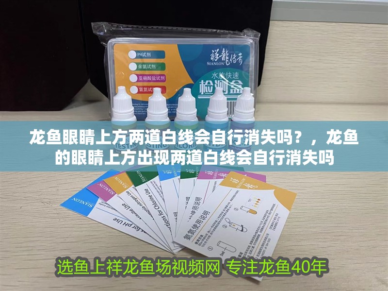 龍魚眼睛上方兩道白線會自行消失嗎？，龍魚的眼睛上方出現兩道白線會自行消失嗎