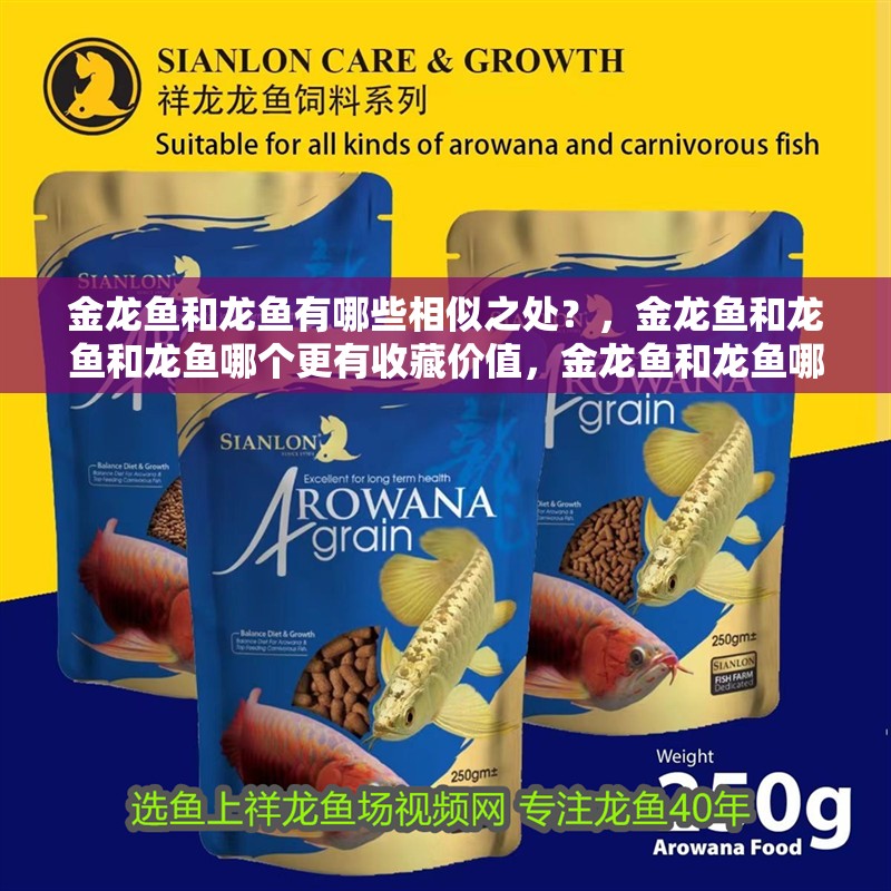 金龍魚和龍魚有哪些相似之處？，金龍魚和龍魚和龍魚哪個更有收藏價值，金龍魚和龍魚哪個更珍貴