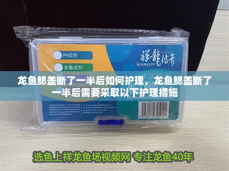 龍魚(yú)鰓蓋斷了一半后如何護(hù)理，龍魚(yú)鰓蓋斷了一半后需要采取以下護(hù)理措施