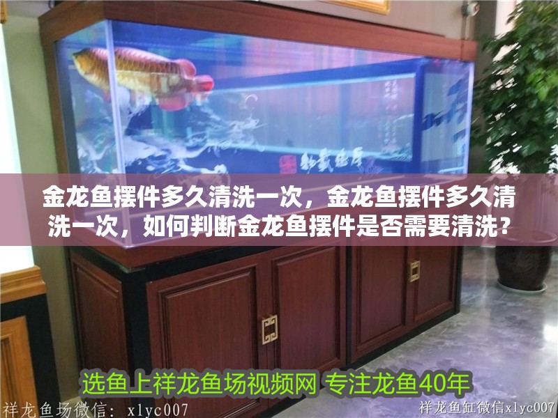 金龍魚擺件多久清洗一次，金龍魚擺件多久清洗一次，如何判斷金龍魚擺件是否需要清洗？
