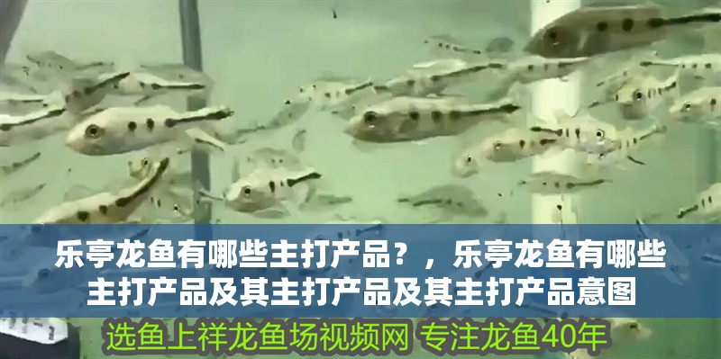 樂亭龍魚有哪些主打產品？，樂亭龍魚有哪些主打產品及其主打產品及其主打產品意圖