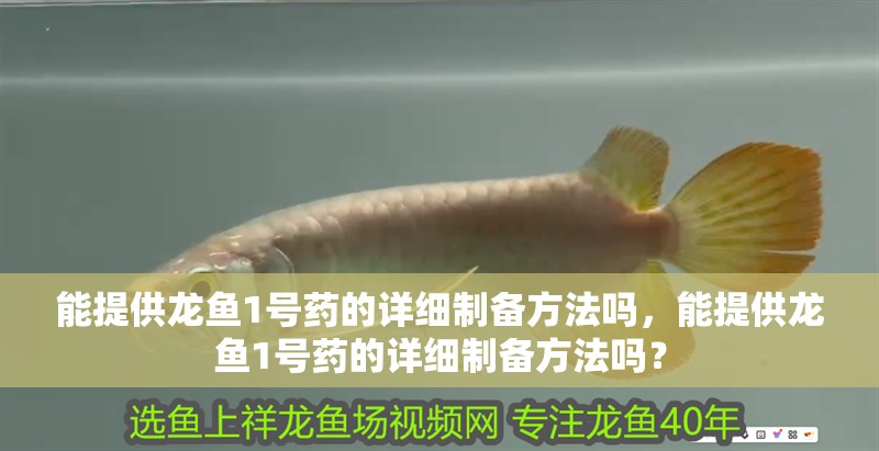 能提供龍魚1號藥的詳細制備方法嗎，能提供龍魚1號藥的詳細制備方法嗎？