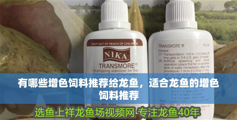 有哪些增色飼料推薦給龍魚，適合龍魚的增色飼料推薦
