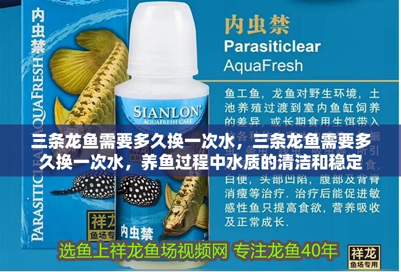 三條龍魚需要多久換一次水，三條龍魚需要多久換一次水，養魚過程中水質的清潔和穩定