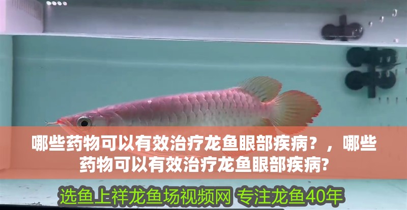 哪些藥物可以有效治療龍魚眼部疾病？，哪些藥物可以有效治療龍魚眼部疾病?