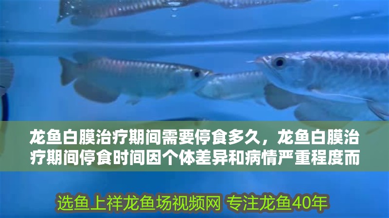 龍魚白膜治療期間需要停食多久，龍魚白膜治療期間停食時間因個體差異和病情嚴(yán)重程度而異