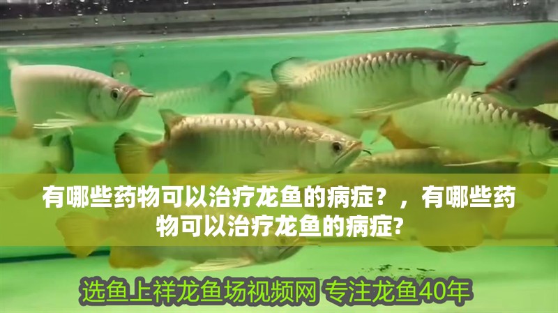 有哪些藥物可以治療龍魚的病癥？，有哪些藥物可以治療龍魚的病癥?
