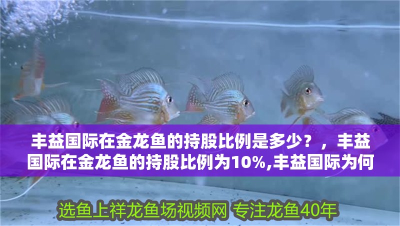 豐益國際在金龍魚的持股比例是多少？，豐益國際在金龍魚的持股比例為10%,豐益國際為何選擇間接持股