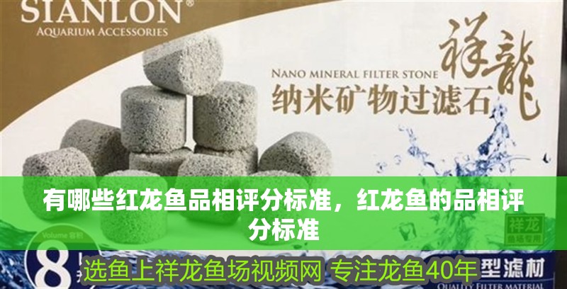有哪些紅龍魚品相評(píng)分標(biāo)準(zhǔn)，紅龍魚的品相評(píng)分標(biāo)準(zhǔn)