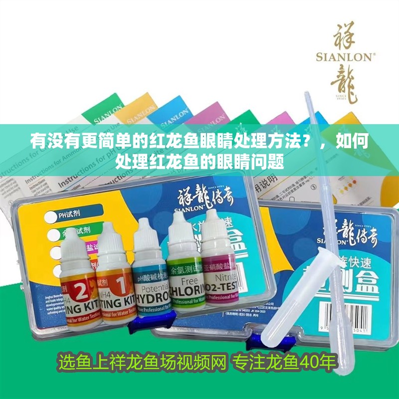 有沒有更簡單的紅龍魚眼睛處理方法？，如何處理紅龍魚的眼睛問題