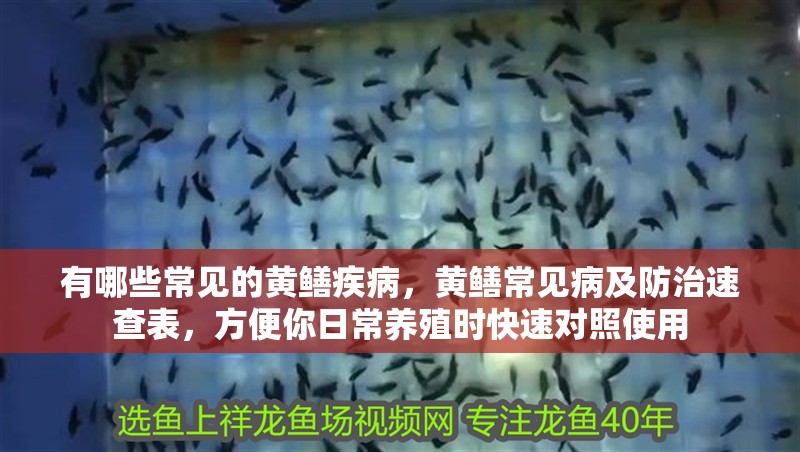 有哪些常見的黃鱔疾病，黃鱔常見病及防治速查表，方便你日常養(yǎng)殖時(shí)快速對(duì)照使用