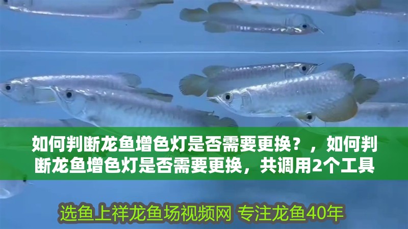 如何判斷龍魚增色燈是否需要更換？，如何判斷龍魚增色燈是否需要更換，共調用2個工具