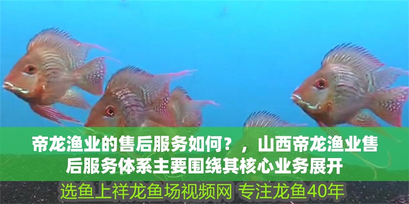 帝龍漁業(yè)的售后服務(wù)如何？，山西帝龍漁業(yè)售后服務(wù)體系主要圍繞其核心業(yè)務(wù)展開