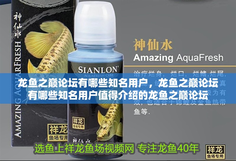 龍魚之巔論壇有哪些知名用戶，龍魚之巔論壇有哪些知名用戶值得介紹的龍魚之巔論壇