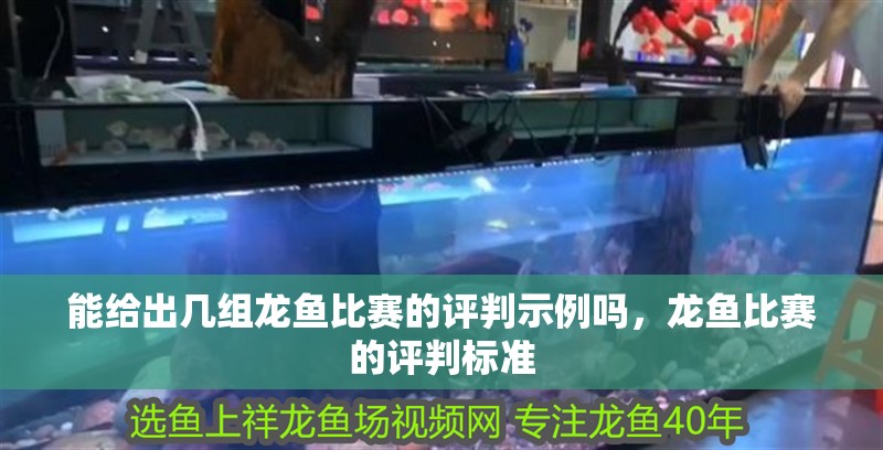 能給出幾組龍魚比賽的評判示例嗎，龍魚比賽的評判標(biāo)準(zhǔn)