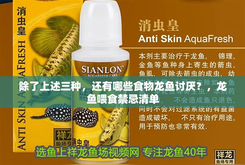 除了上述三種，還有哪些食物龍魚討厭？，龍魚喂食禁忌清單