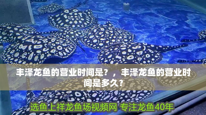 豐澤龍魚的營業(yè)時間是？，豐澤龍魚的營業(yè)時間是多久？