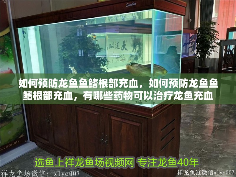 如何預(yù)防龍魚魚鰭根部充血，如何預(yù)防龍魚魚鰭根部充血，有哪些藥物可以治療龍魚充血