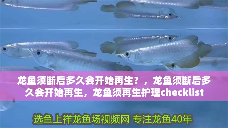 龍魚須斷后多久會開始再生？，龍魚須斷后多久會開始再生，龍魚須再生護理checklist
