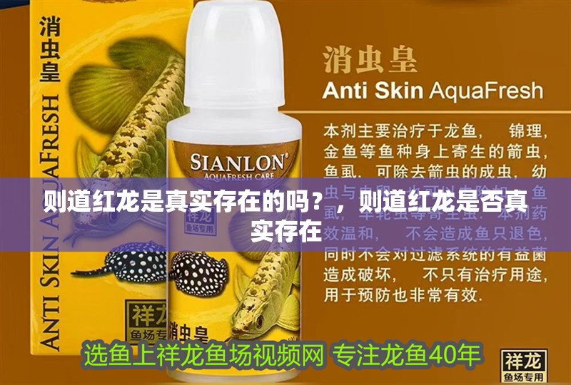 則道紅龍是真實存在的嗎？，則道紅龍是否真實存在