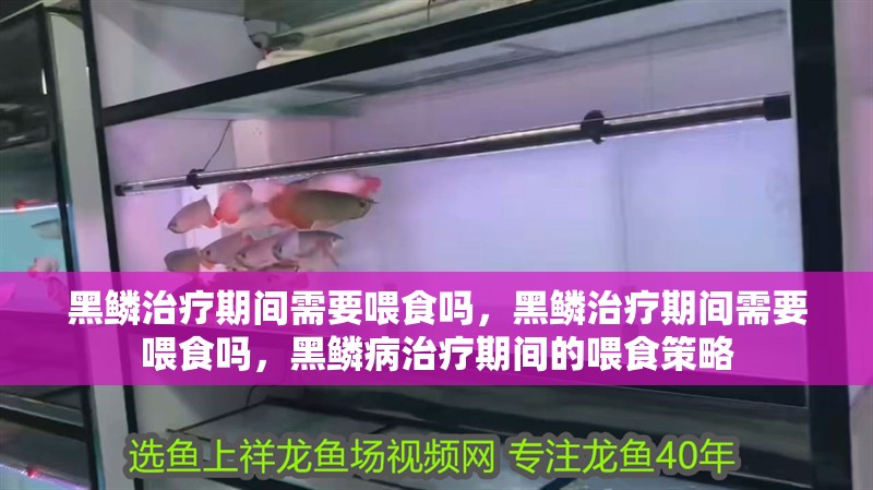 黑鱗治療期間需要喂食嗎，黑鱗治療期間需要喂食嗎，黑鱗病治療期間的喂食策略