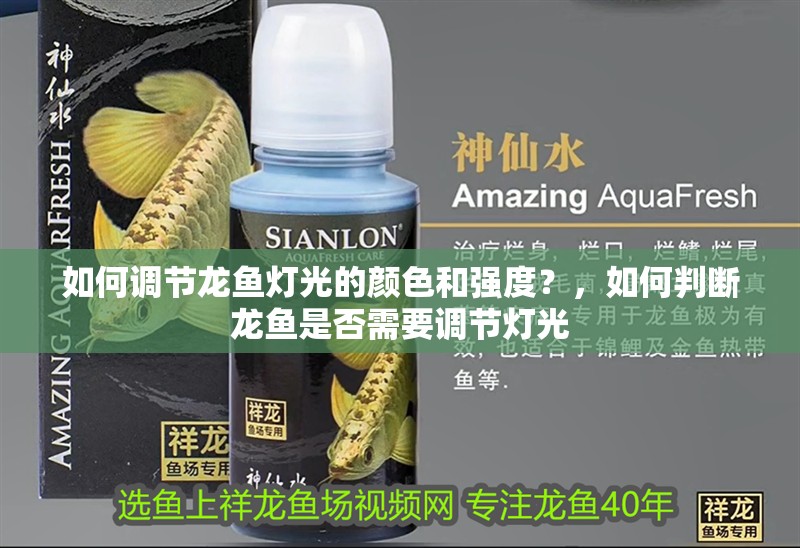 如何調節龍魚燈光的顏色和強度？，如何判斷龍魚是否需要調節燈光