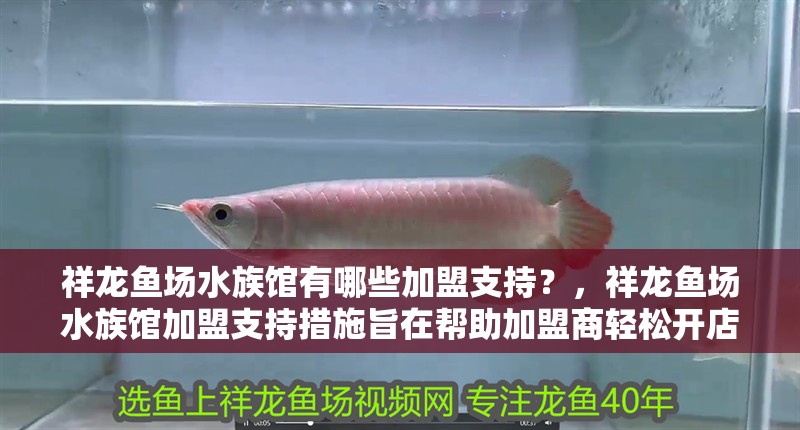 祥龍魚場(chǎng)水族館有哪些加盟支持？，祥龍魚場(chǎng)水族館加盟支持措施旨在幫助加盟商輕松開店
