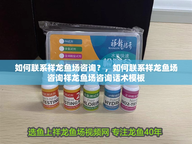 如何聯系祥龍魚場咨詢？，如何聯系祥龍魚場咨詢祥龍魚場咨詢話術模板