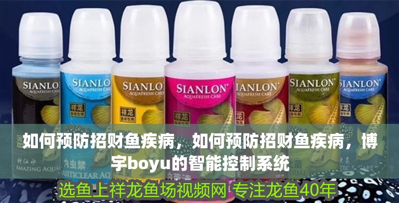 如何預防招財魚疾病，如何預防招財魚疾病，博宇boyu的智能控制系統