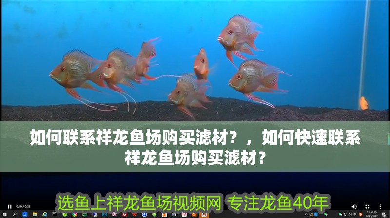 如何聯系祥龍魚場購買濾材？，如何快速聯系祥龍魚場購買濾材？