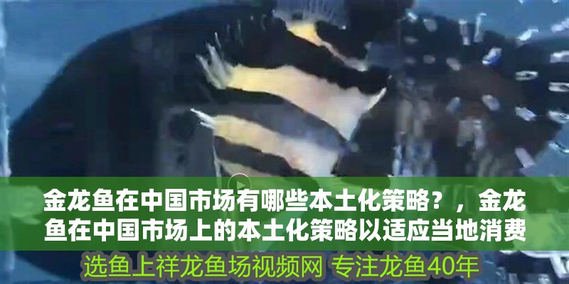 金龍魚在中國市場有哪些本土化策略？，金龍魚在中國市場上的本土化策略以適應當?shù)叵M者的需求和偏好