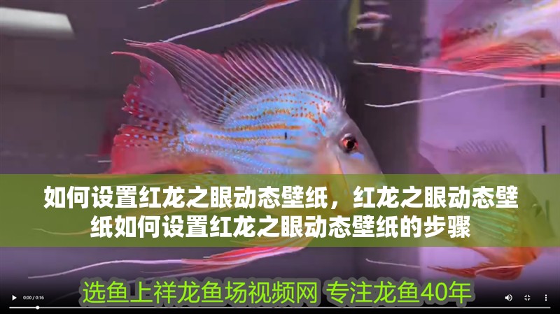 如何設置紅龍之眼動態壁紙，紅龍之眼動態壁紙如何設置紅龍之眼動態壁紙的步驟