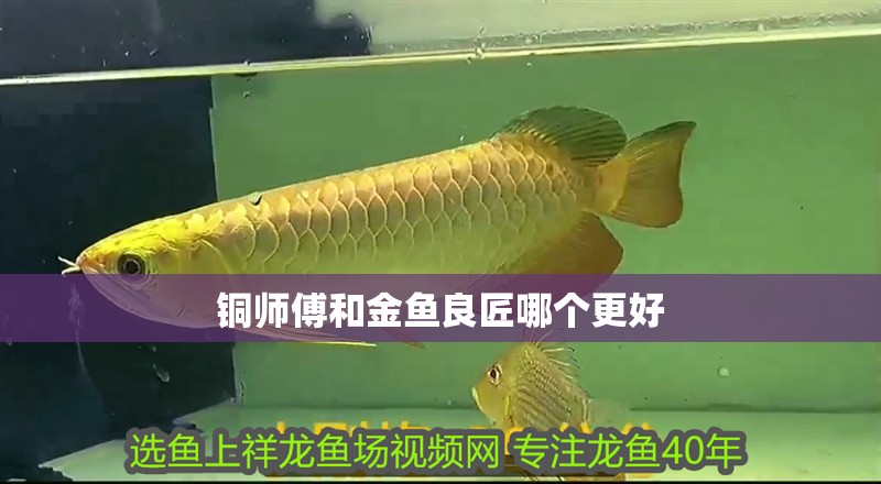 銅師傅和金魚良匠哪個更好
