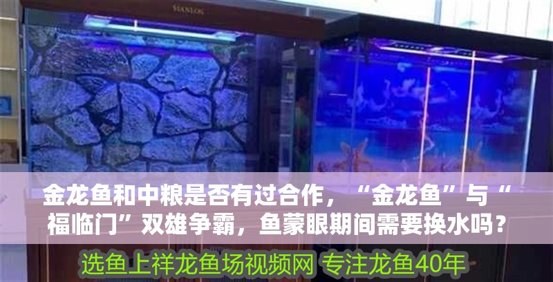 金龍魚和中糧是否有過合作，“金龍魚”與“福臨門”雙雄爭霸，魚蒙眼期間需要換水嗎？