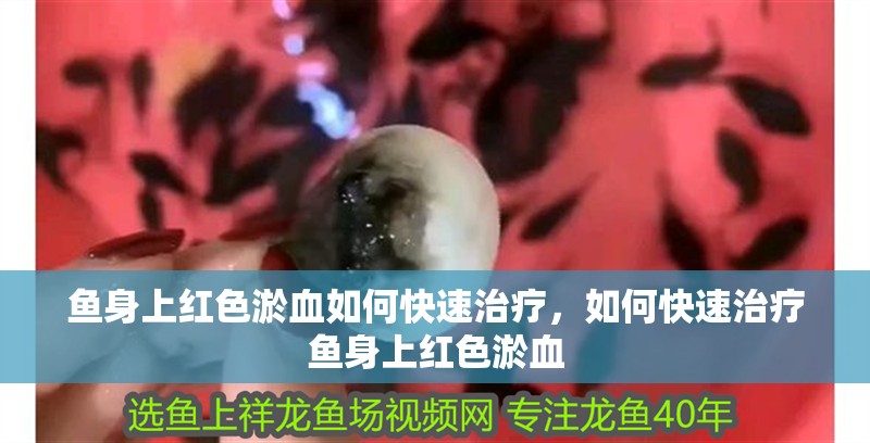 魚身上紅色淤血如何快速治療，如何快速治療魚身上紅色淤血