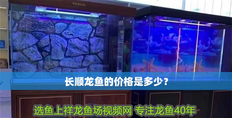 長順龍魚的價格是多少？
